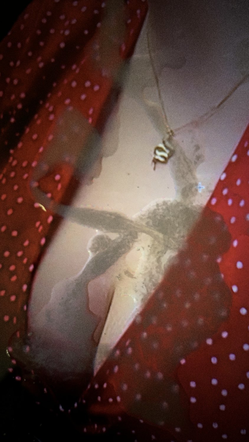 MILF Next Door Drains My Balls (IRL Cum Tribute Request) #54CFrSWF